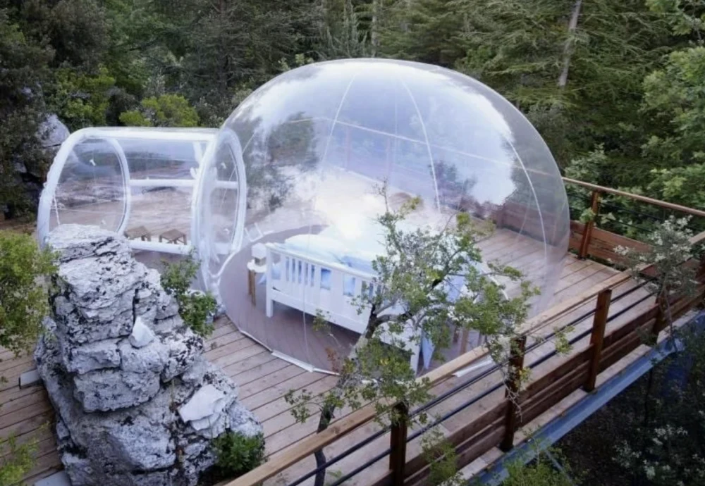 stargazing bubble tent